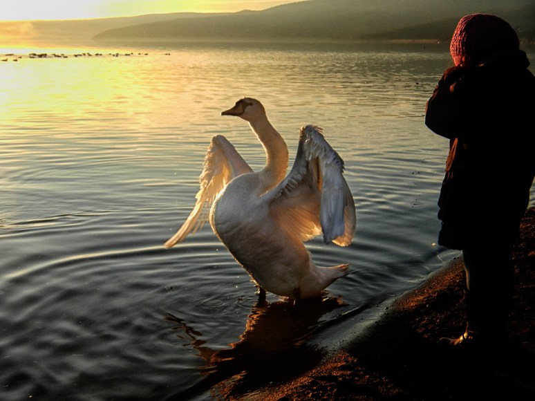 © 2012 Piero Imperiale All Rights Reserved