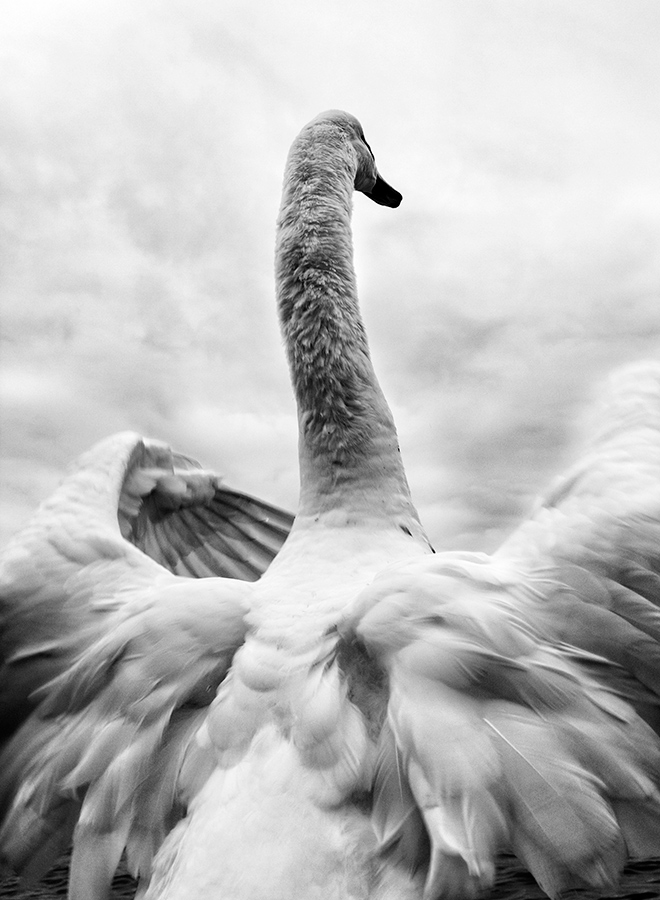 © 2012 Piero Imperiale All Rights Reserved