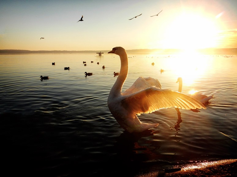 © 2013 Piero Imperiale All Rights Reserved