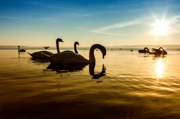 © 2012 Piero Imperiale All Rights Reserved