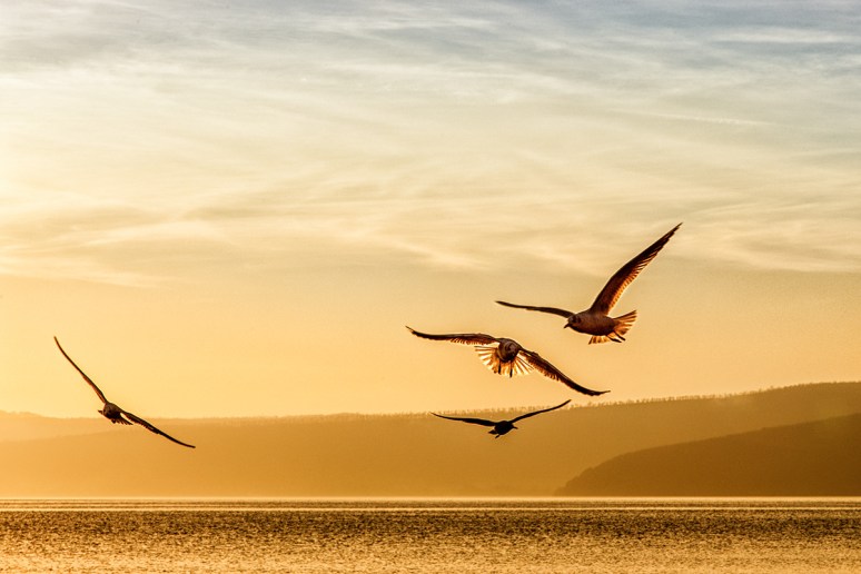 © 2013 Piero Imperiale All Rights Reserved