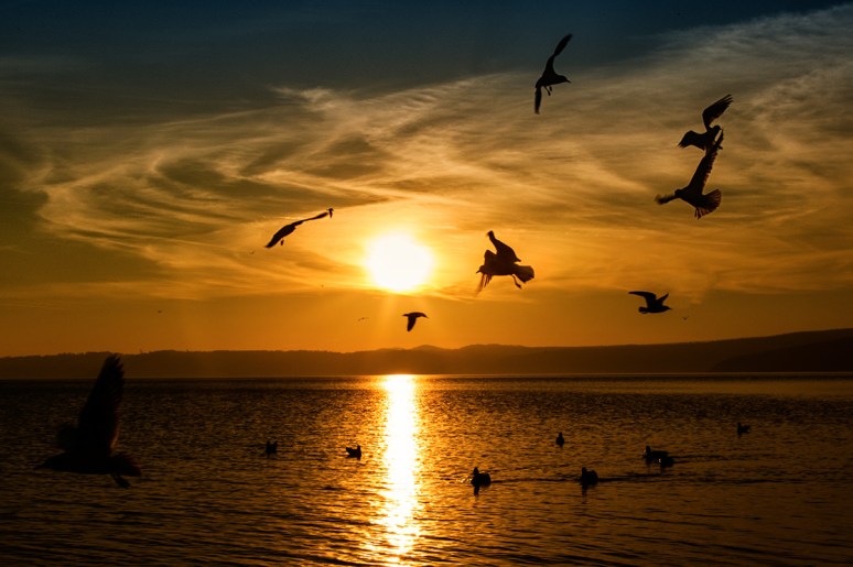 © 2013 Piero Imperiale All Rights Reserved