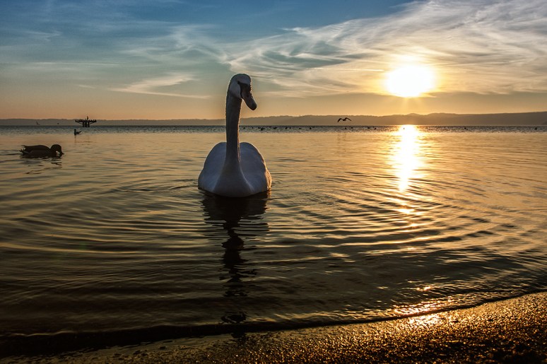 © 2012 Piero Imperiale All Rights Reserved