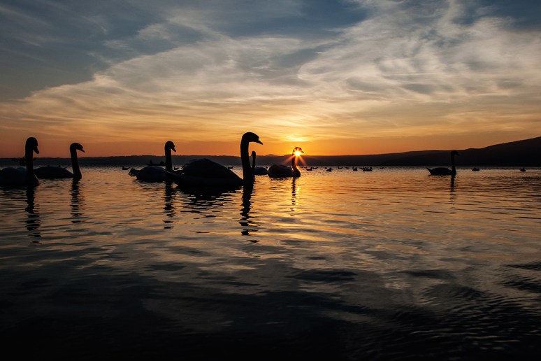 © 2013 Piero Imperiale All Rights Reserved