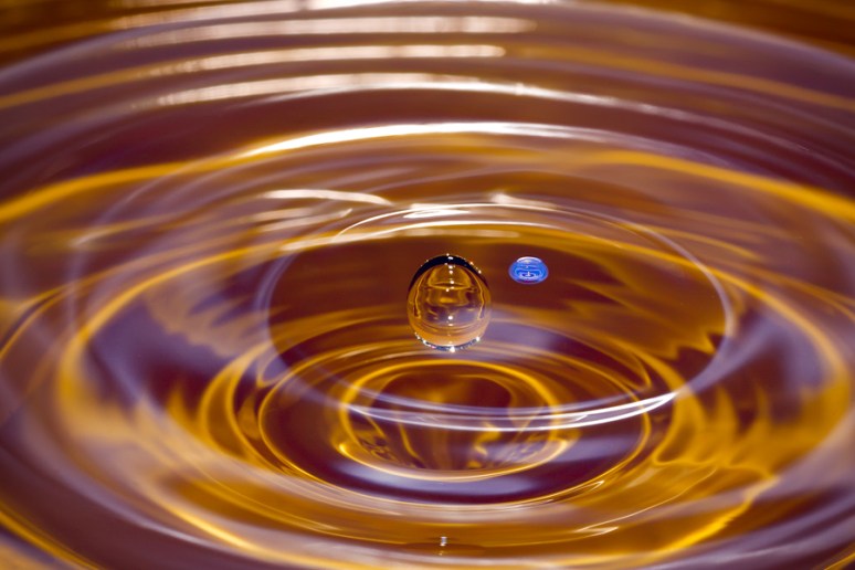 © 2013 All Rights Reserved