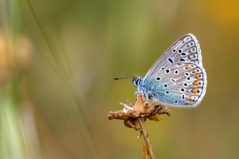 © 2013 All Rights Reserved