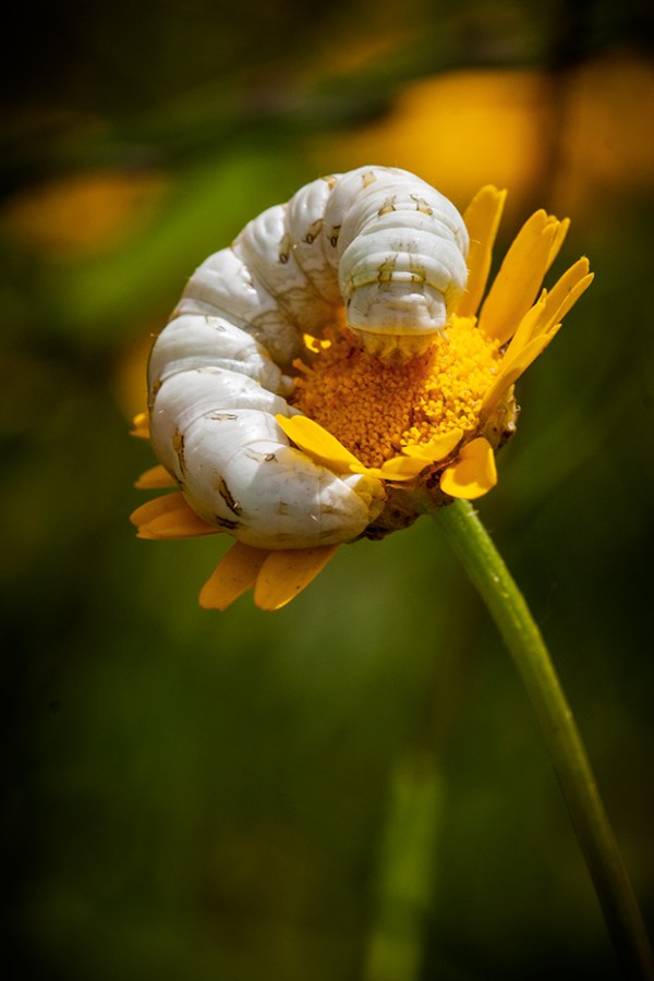 © 2013 All Rights Reserved