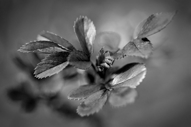 © 2013 All Rights Reserved