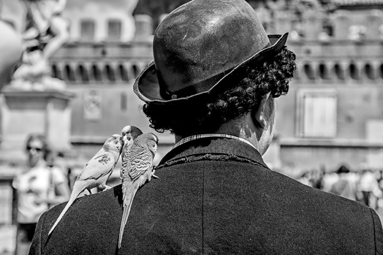 © Piero Imperiale All Rights Reserved