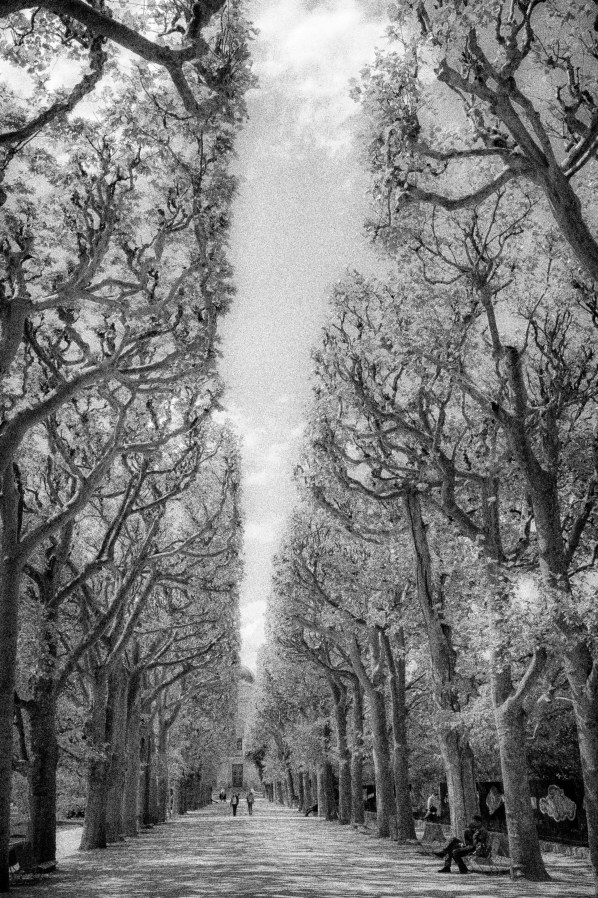 © Piero Imperiale 2014 - All Rights Reserved