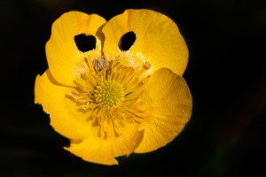 La natura è sorprendente nella sua espressione!