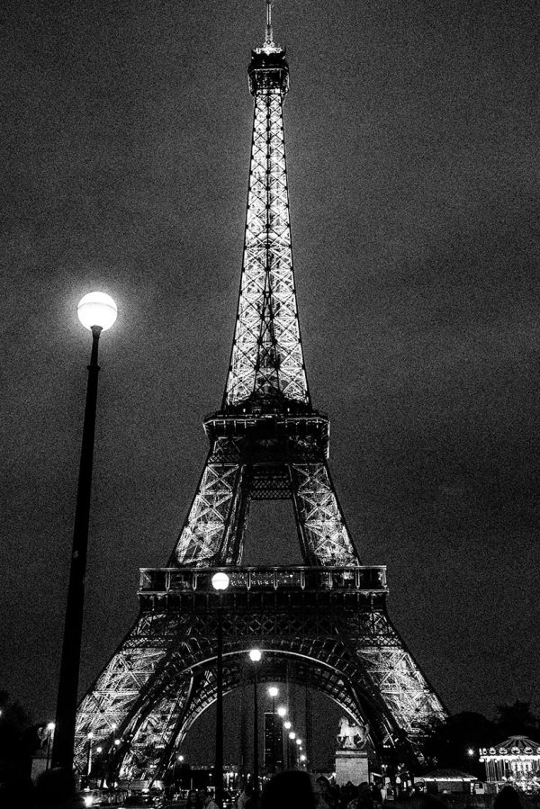 © Piero Imperiale 2014 - All Rights Reserved