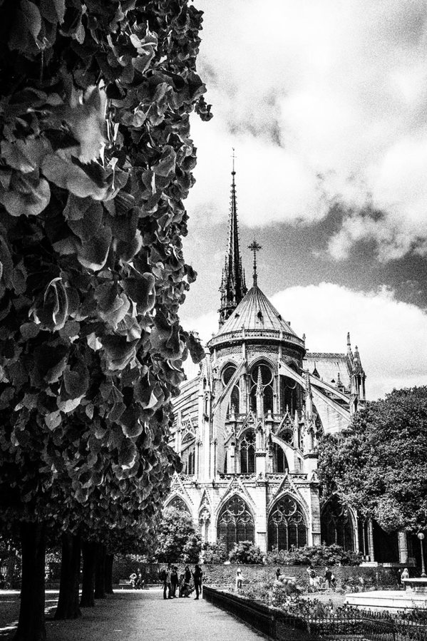 © Piero Imperiale 2014 - All Rights Reserved