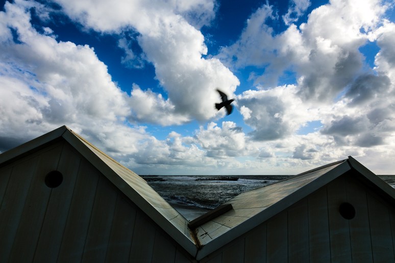 © Piero Imperiale 2014 - All Rights Reserved