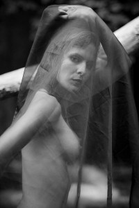 © Piero Imperiale - All Rights Reserved