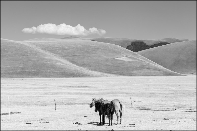 CASTELLUCCIO_LUG2017-0108